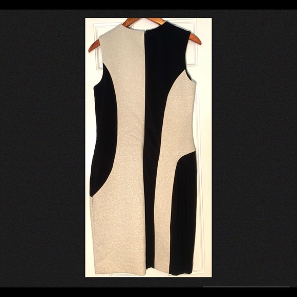 Taylor Champagne / Gold Black Sleeveless Sheath Mod Dress - Picture 3 of 4